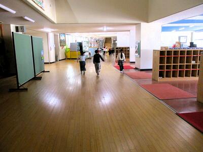 ヒノキ　子供　自然　学校