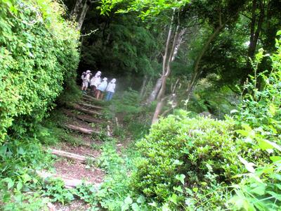 木曽　木曽福島　福島小学校　自然　裏山　移住